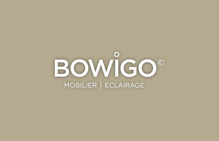 bowigo-pro-accueil